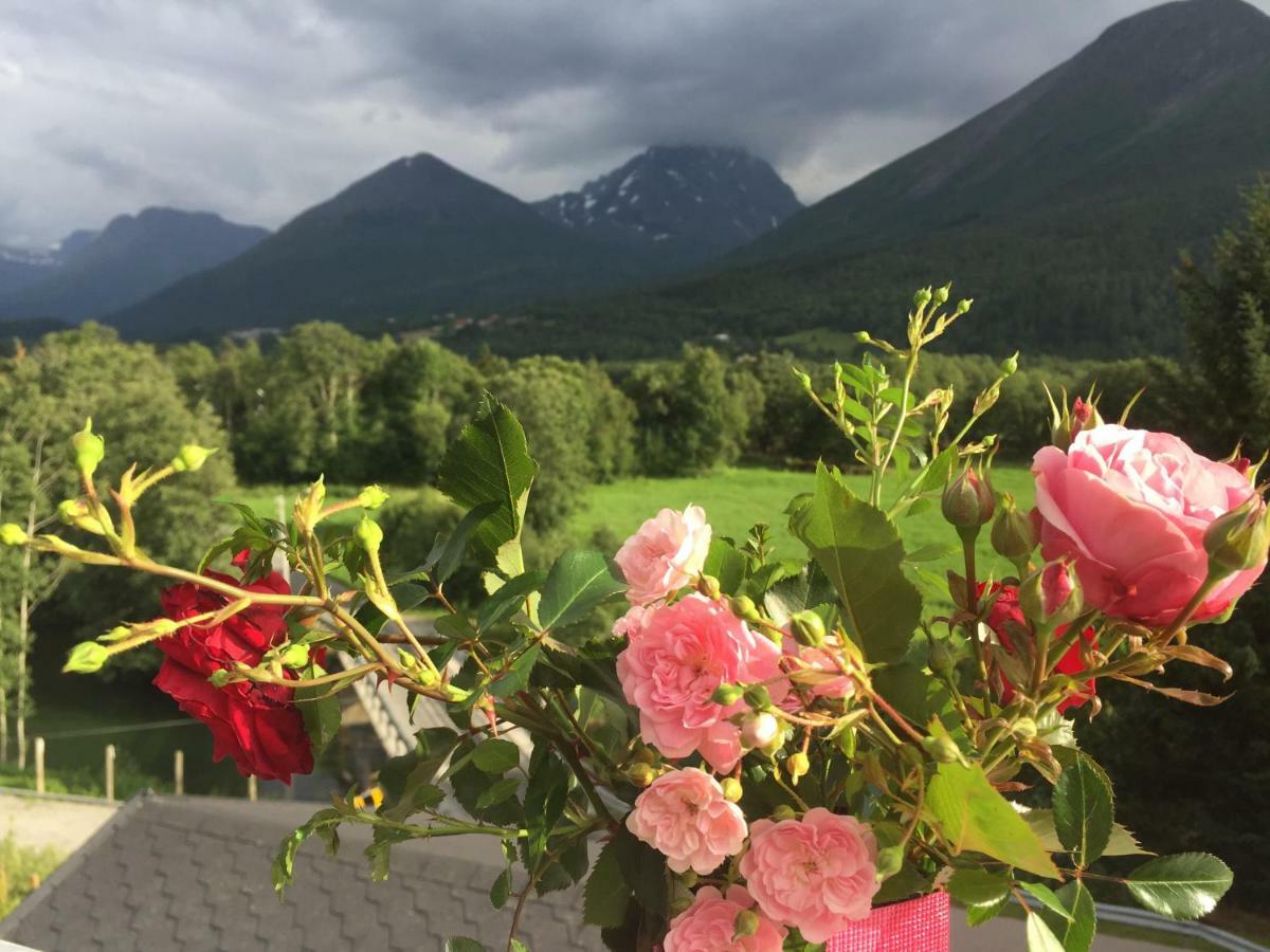 Apartment Dreamvalley Isfjorden Eksteriør billede